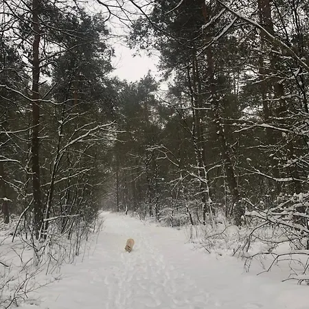 Natuurhuisje Even Niets Nyaraló