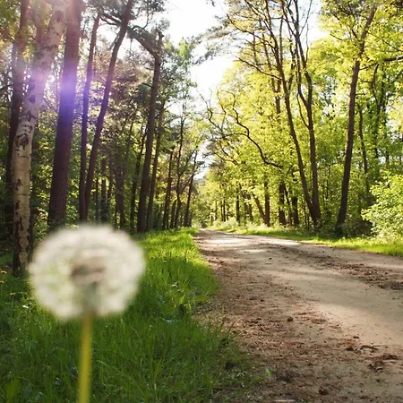 펜션 Natuurhuisje Even Niets 젤험
