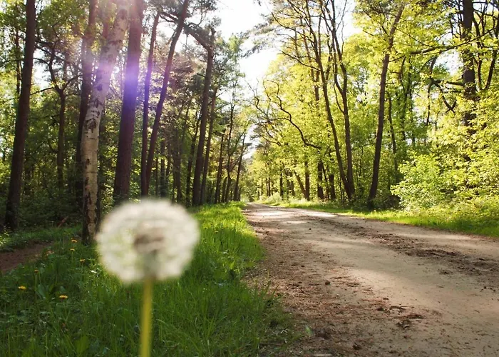 Natuurhuisje Even Niets