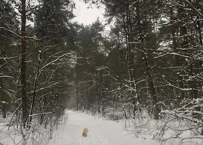 Natuurhuisje Even Niets 度假居
